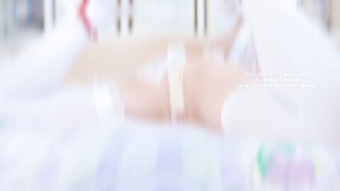 黏黏团子兔 (咬一口兔娘) - 2024年12月 诞生日限定 『兔子味蛋糕』[114P3V-2.95G]