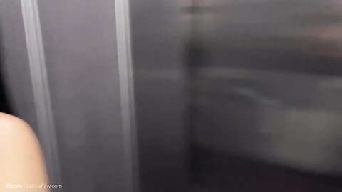 42623534