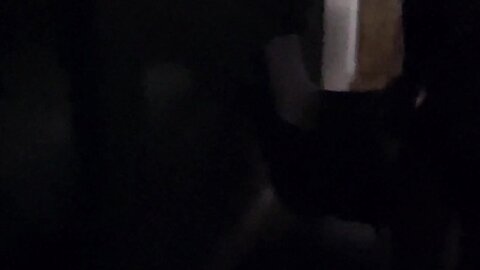 42623534