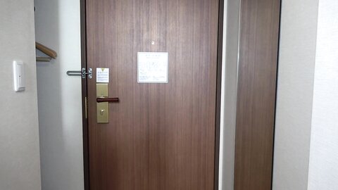 56389493