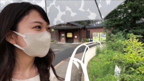 2213482 - Erika-chan (Kansai trip for 2 days and 1 night)