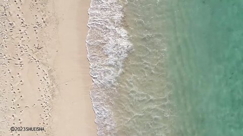 [Weekly Playboy] 2023.04.03 No.14 新田桃子 村上愛花 平川結月 桃月なしこ 石井薫子 中村知世 宮崎あみさ