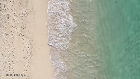 [Weekly Playboy] 2023.04.03 No.14 新田桃子 村上愛花 平川結月 桃月なしこ 石井薫子 中村知世 宮崎あみさ