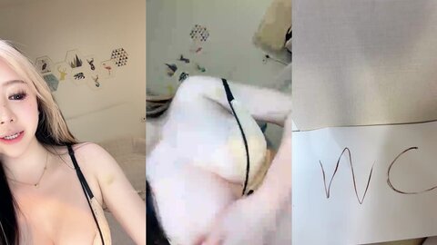 奶思猫猫 20250203 161208