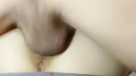 4617680