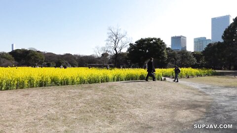 4615615 ~ vol.51 ~ [ ★★Account ends on 31 March★★]****zynxzjo* 3-day limited price 5980pt! [ That Popular Series ] Raw Nakadashi Footage All in One! [ Includes 3 hours and 50 minutes of special footage ]