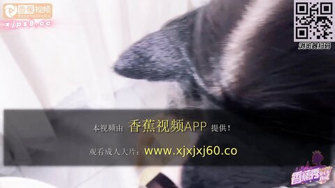 香蕉秀xjx273猫儿美少妇