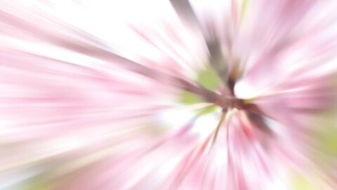 Mira Hasegawa Delicate Ms