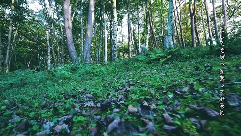 MIFD-591 Newcomer Eternal Girl AV Debut Nana Okada