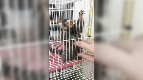 Bwc2022 2022 08 29 0H5Nvrdh1Jr4Uqvqmqjgz Source