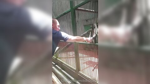 Bwc2022 2022 10 23 0H7Fzvca79Qphmw0Zhey7 Source