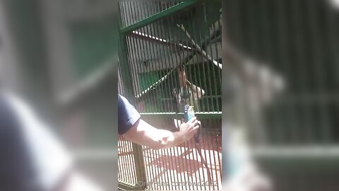 Bwc2022 2022 10 23 0H7Fzvca79Qphmw0Zhey7 Source