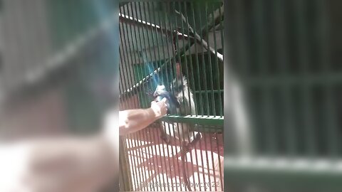 Bwc2022 2022 10 23 0H7Fzvca79Qphmw0Zhey7 Source