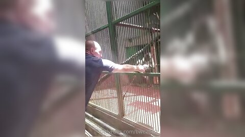 Bwc2022 2022 10 23 0H7Fzvca79Qphmw0Zhey7 Source