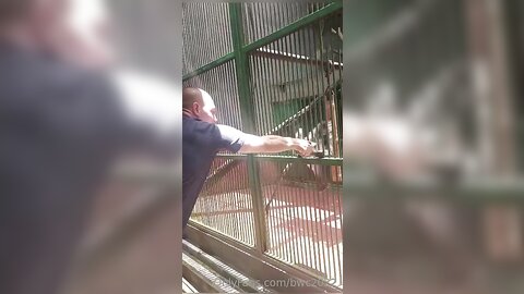 Bwc2022 2022 10 23 0H7Fzvca79Qphmw0Zhey7 Source