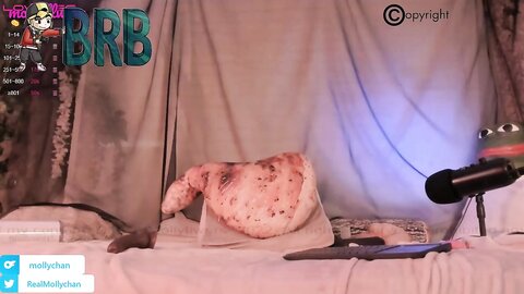 Mollyflwers 20221207 164526 8999Epsjfq5