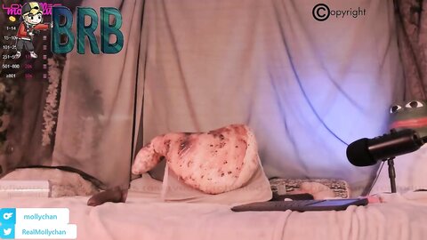 Mollyflwers 20221207 164526 8999Epsjfq5