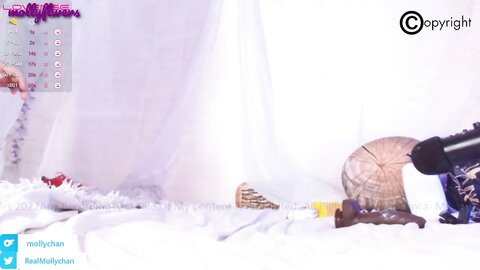 Mollyflwers 2022 12 27 17 47 4076Ejcuox