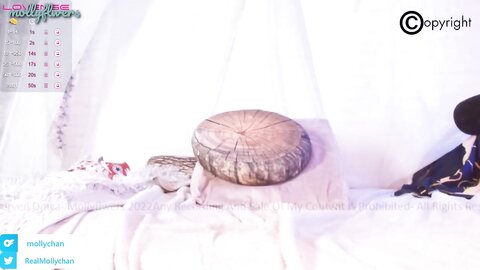 Mollyflwers 2022 12 27 19 49 39F4Jukccf