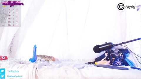 Mollyflwers 2022 12 27 19 49 39F4Jukccf