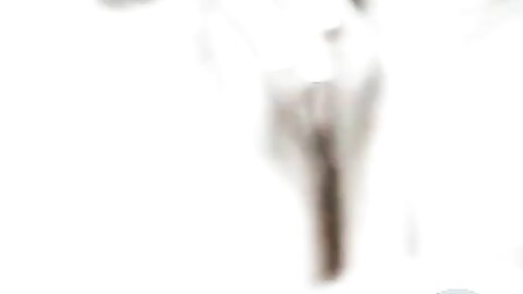Asian Bitch Has Him Worship Her Sexy Feet