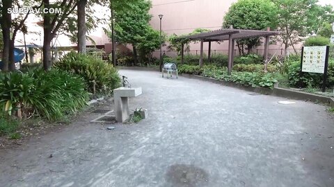 3582428 4524620・【プレミアムサマーセット】--pznpqszoyj 第２集
