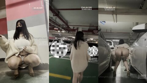 《最新泄密✅反差尤物》推特極品網紅巨乳女神【九兒溫柔妹妹】定製私拍！一線天肥鮑搖奶展穴地下車庫露出完成任務