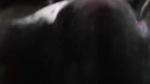 Japanese Teens In Uniform Get Down And Dirty In A 4k Threesome