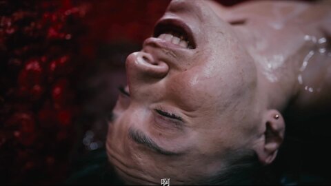 【独家译制】水川老师  Pillow Talk 3 外星生物触手怪寄生催情，双女困在宫腔内触手入侵强奸受精画质
