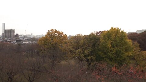 IBW-866 [Uncensored]