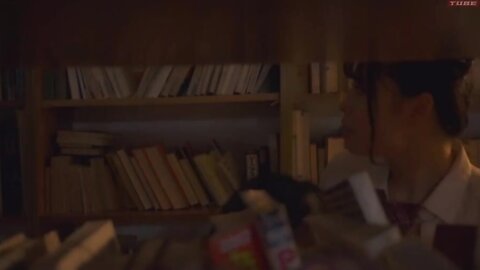 When I Was Studying In The Library A Famous Bimbo Beautiful Girl At School Got Eyes On Me And Fucked Me  Scene 5