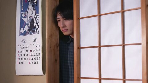FNS-036