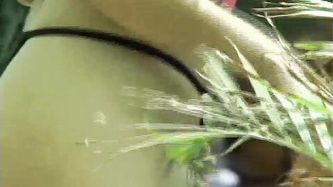 Asian Bitch Hol Fucked Bareback Anal By Xxl Ebony Cock