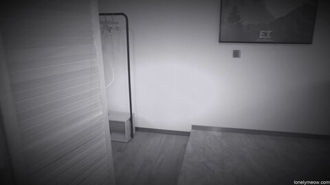 Lonely Meow  Sex With Beautiful Asian Lady  Amateurporn