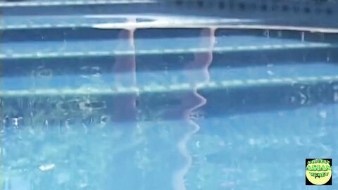 A Couple Of Horny Asian Lesbian Brunettes Lick Each Other In The Pool