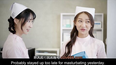 20504217