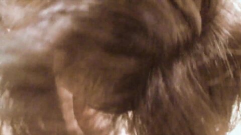 Junko Sakashita An Experienced Woman With Lots Of Hair On Her Pussy Get