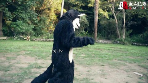 xsj004大红帽与小野狼-苡若