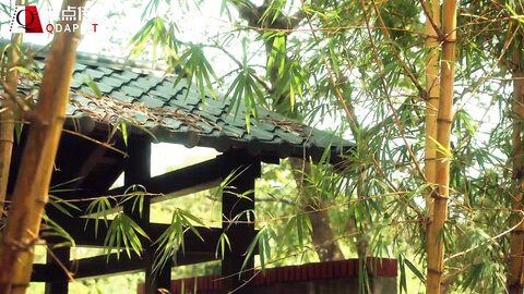 xsj005奇淫三国之黄精之乱-金宝娜