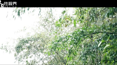 xsj120奇淫三国之乐不湿蜀