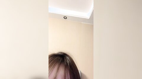 Anchorporn 2 截取视频