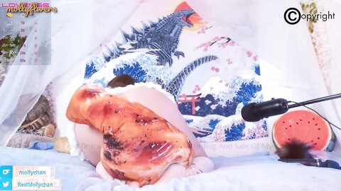 Mollyflwers 2023 02 01 1