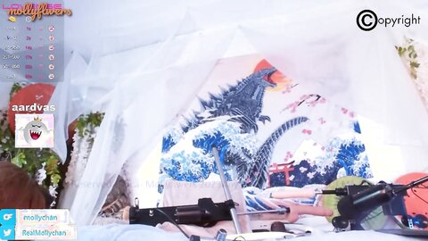 Mollyflwers 2023 02 01 3