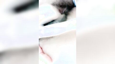 Video 2022 04 14 04 01 29