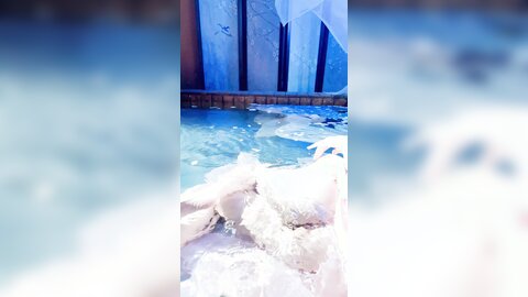 短花絮4K