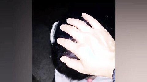 Puremedia 8th EVENT  2. 공원 야노