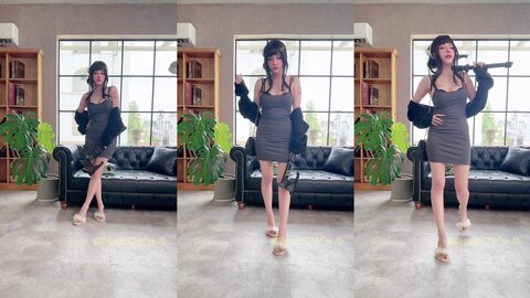 V (13)