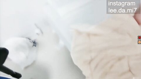 [스트립쳇] leedami_25.06.08 오늘자 티켓방 [매니져섹스]