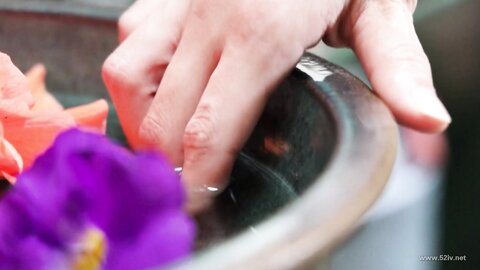 SPRBD-014 Day By Day Nao Jinguji