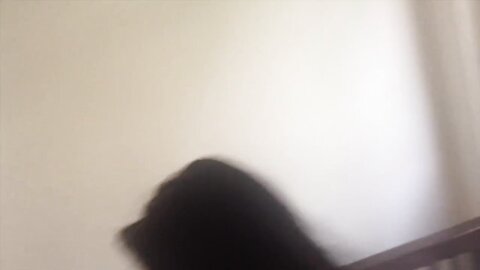 PetiteSummerLin 04 (Morning Blowjob)